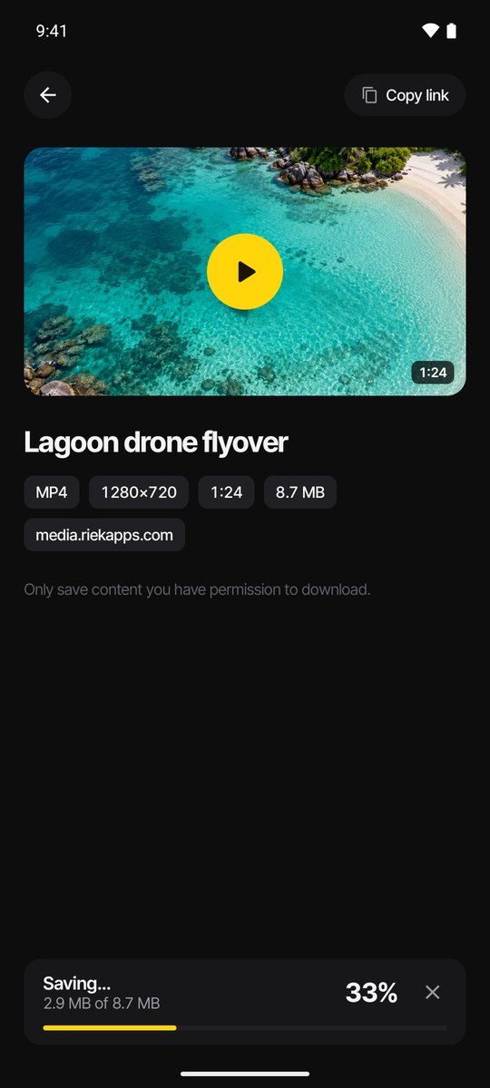 VidSave screenshot 3